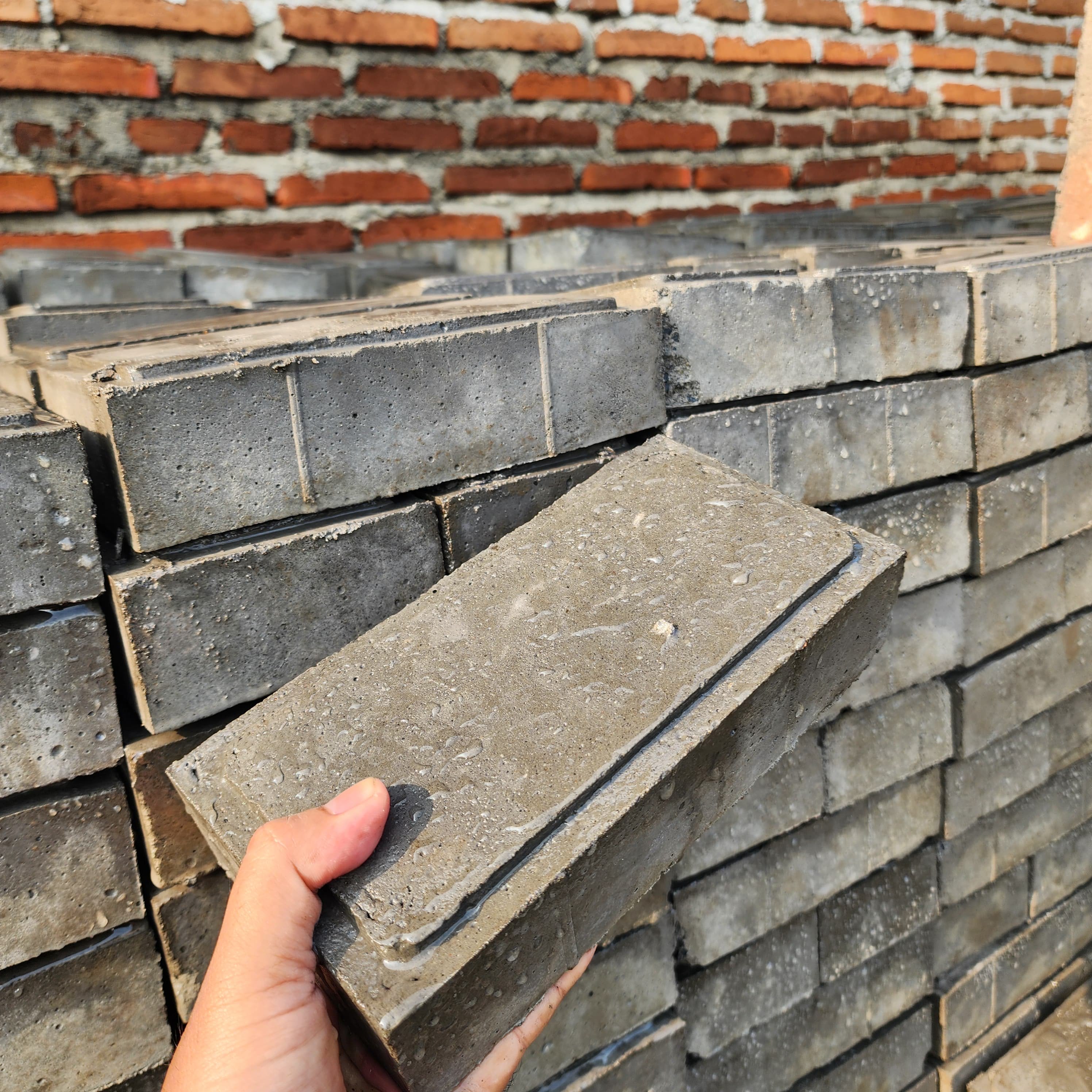 Paving Block Hexagonal
